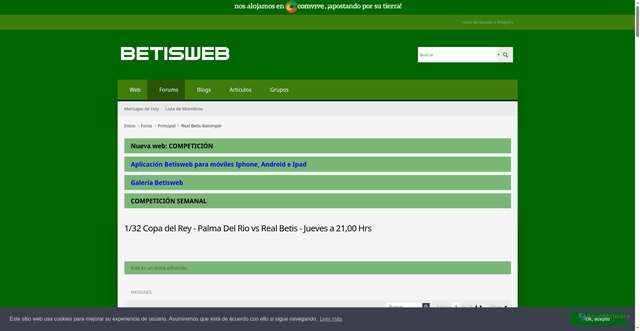 Security scan screenshot of https://www.betisweb.com/foro/principal/real-betis-balompi%C3%A9/8800008-1-32-copa-del-rey-palma-del-rio-vs-real-betis-jueves-a-21-00-hrs/page3