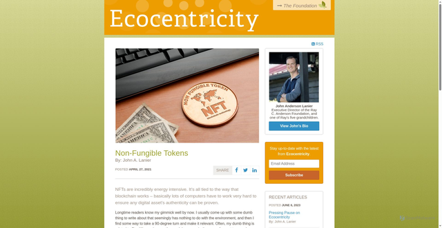 Security scan screenshot of https://www.raycandersonfoundation.org/articles/non-fungible-tokens