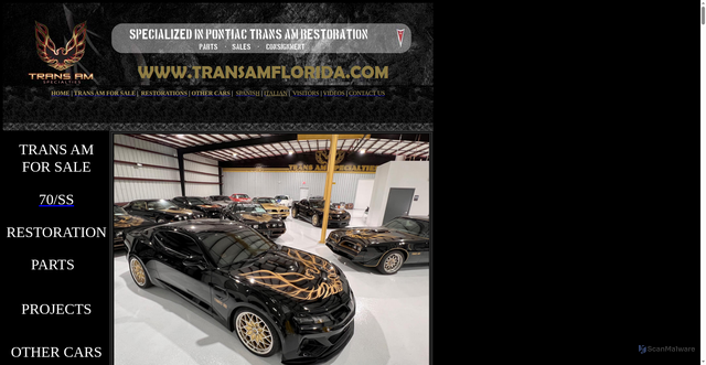 Security scan screenshot of https://transamflorida.com