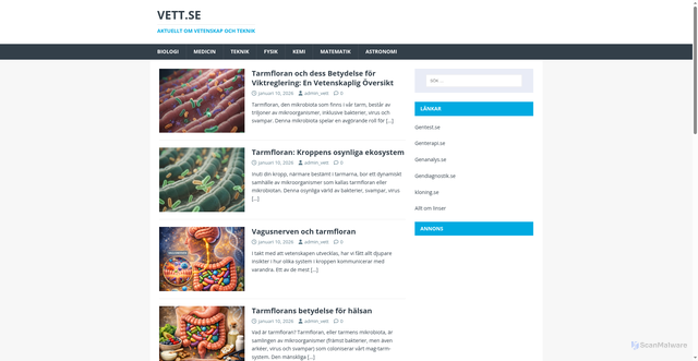Security scan screenshot of https://www.Vett.se