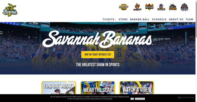 Security scan screenshot of https://thesavannahbananas.com