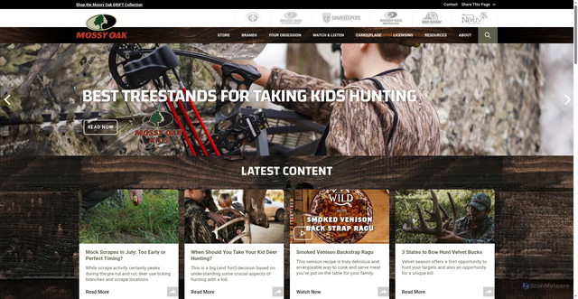 Security scan screenshot of https://www.mossyoak.com
