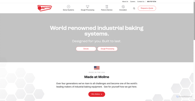 Security scan screenshot of https://moline.com