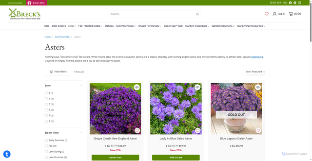 Security scan screenshot of https://www.brecks.com/collections/asters?srsltid=AfmBOoo-H492h74cRw89_X5CcvYQ4xQbYOx27p-K_DuqIpSm9ryq8MTS