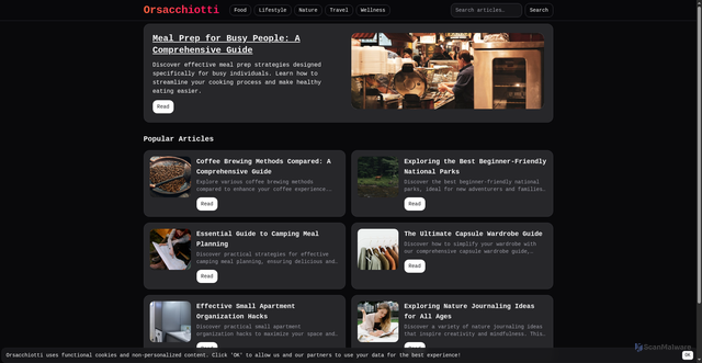 Security scan screenshot of https://orsacchiotti.net/