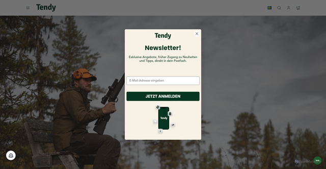 Security scan screenshot of https://tendy.se