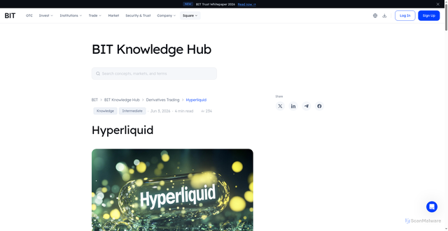Security scan screenshot of https://www.bit.com/insights/knowledge-hub/hyperliquid