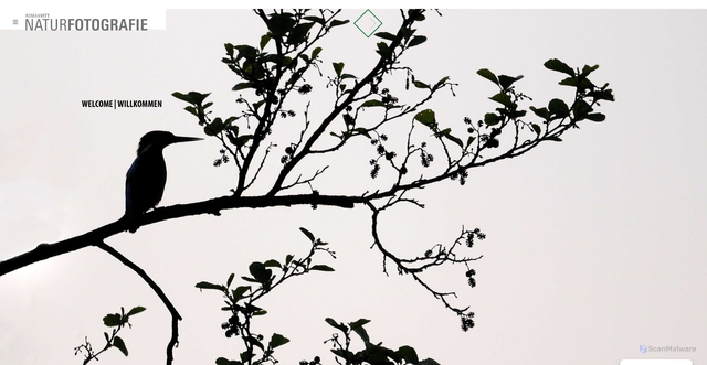 Security scan screenshot of https://naturfotografie-roman-vitt.de