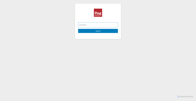 Security scan screenshot of https://bunzl.service-now.com