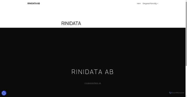 Security scan screenshot of https://rinidata.se