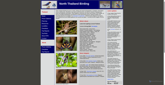 Security scan screenshot of https://norththailandbirding.com