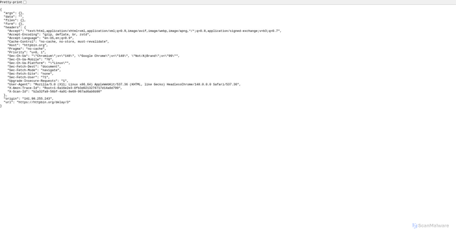 Security scan screenshot of https://httpbin.org/delay/3