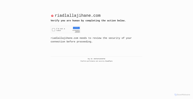 Security scan screenshot of https://riadlallajihane.com