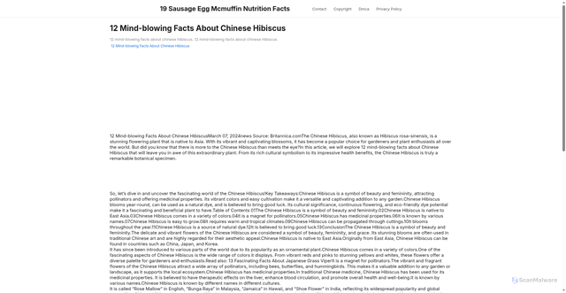 Security scan screenshot of https://triciasyzsitus-dpz7yaqmqwtv.edgeone.app/12-mind-blowing-facts-about-chinese-hibiscus.html