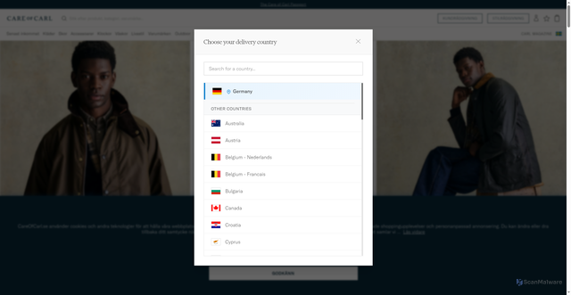 Security scan screenshot of https://careofcarl.se