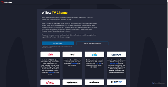 Security scan screenshot of https://willow.tv