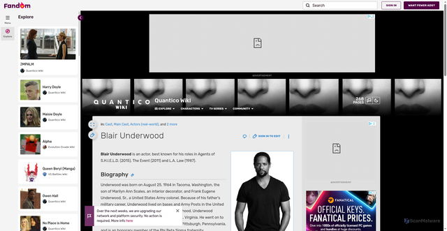 Security scan screenshot of https://quantico.fandom.com/wiki/Blair_Underwood