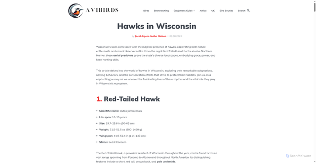 Security scan screenshot of https://avibirds.com/hawks-in-wisconsin/