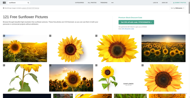 Security scan screenshot of https://rtyerbymo6.pages.dev/search/sunflower