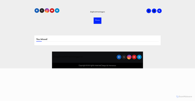 Security scan screenshot of https://dogbraintrainingpro.com