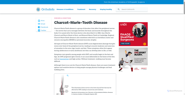 Security scan screenshot of https://orthoinfo.aaos.org/en/diseases--conditions/charcot-marie-tooth-disease/