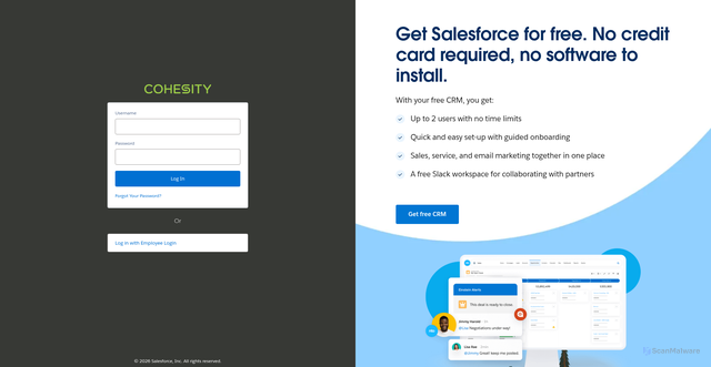 Security scan screenshot of https://cohesity.my.salesforce.com