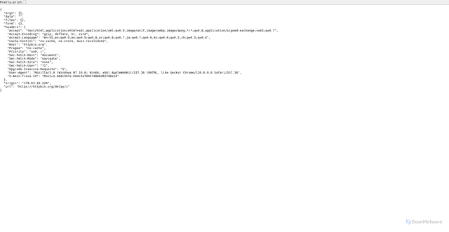 Security scan screenshot of https://httpbin.org/delay/1
