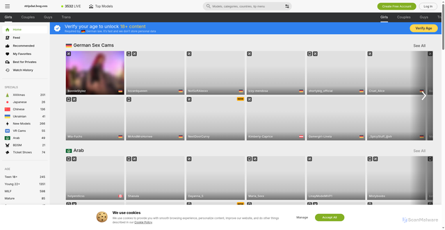 Security scan screenshot of https://stripchat.beeg.com
