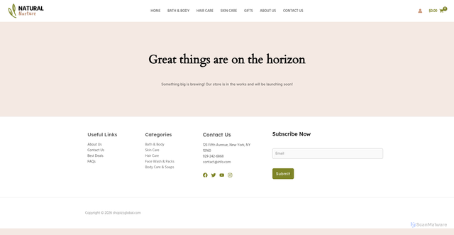 Security scan screenshot of https://shopizzglobal.com/cart-2/
