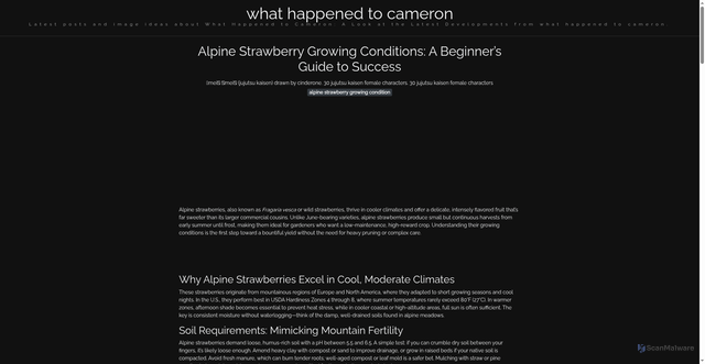 Security scan screenshot of https://lensacerdascorner-dpuv9krdmclz.edgeone.app/alpine-strawberry-growing-condition.html