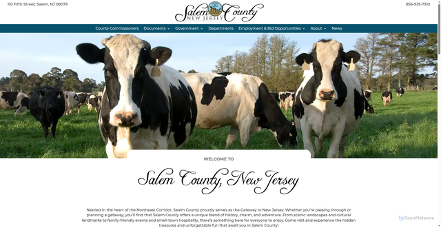 Security scan screenshot of https://www.salemcountynj.gov/