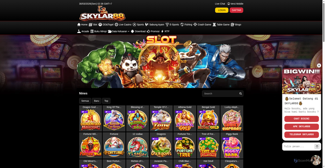 Security scan screenshot of https://skylar88apk.com/desktop/game/slot/nines