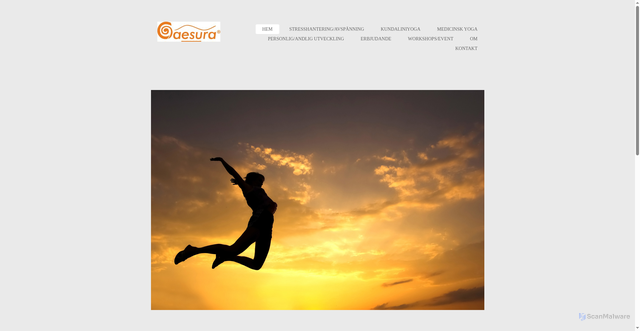 Security scan screenshot of https://caesura.se