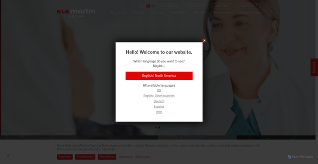 Security scan screenshot of https://klsmartin.com