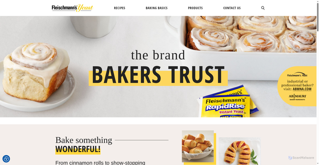 Security scan screenshot of https://www.fleischmannsyeast.com