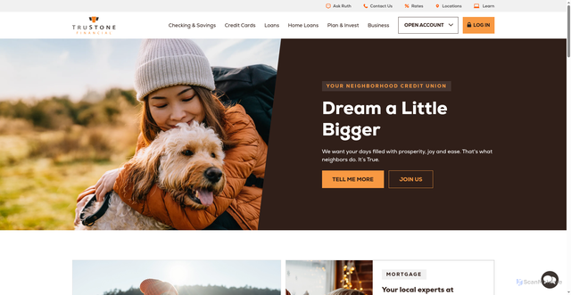 Security scan screenshot of https://trustonefinancial.org