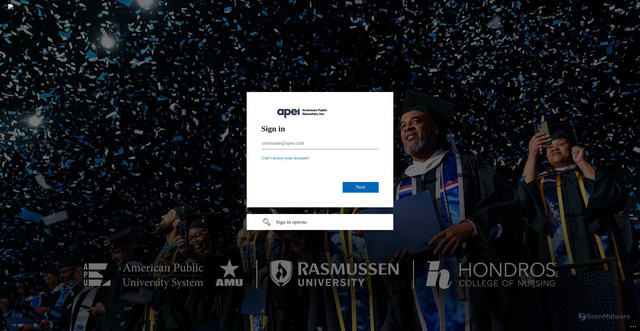 Security scan screenshot of https://apei.lightning.force.com