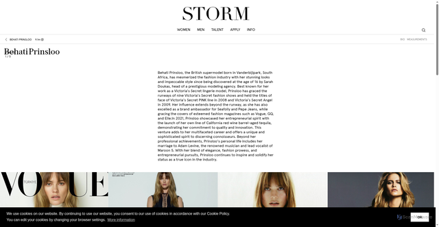 Security scan screenshot of https://www.stormmanagement.com/vision/behati-prinsloo/23/