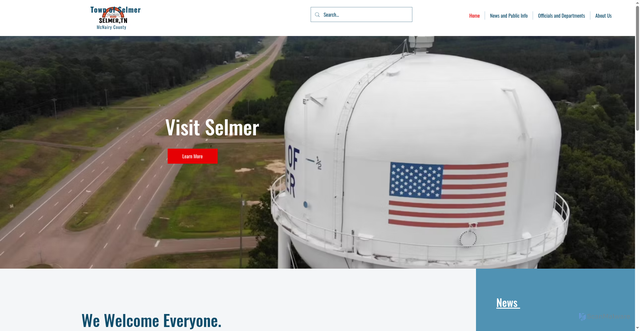 Security scan screenshot of https://www.townofselmer.com/