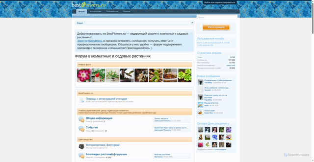 Security scan screenshot of https://forum.bestflowers.ru