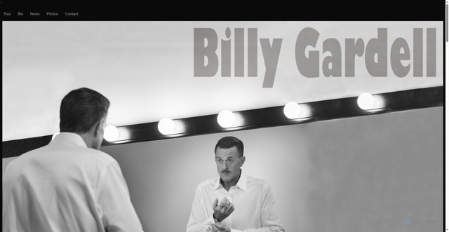 Security scan screenshot of https://billygardell.com/