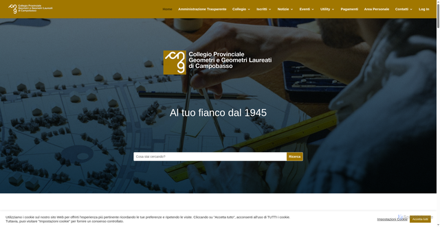 Security scan screenshot of https://lnx.geometricb.it/