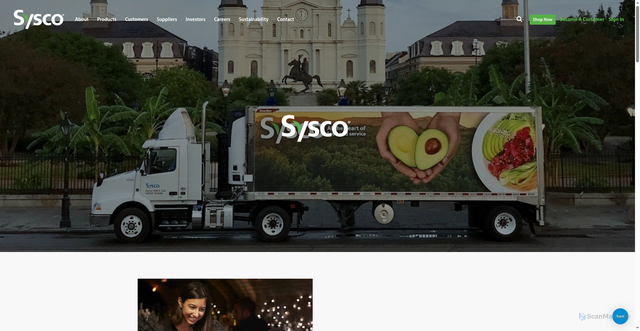 Security scan screenshot of https://www.sysconola.com/