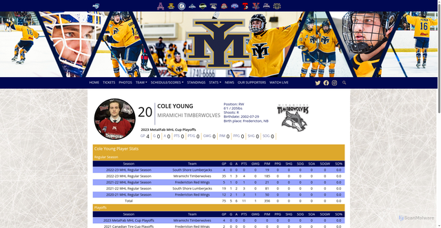 Security scan screenshot of https://www.yarmouthmariners.com/stats/player/2272/32/cole-young