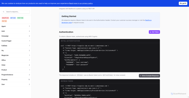 Security scan screenshot of https://api.rlfrc.net/