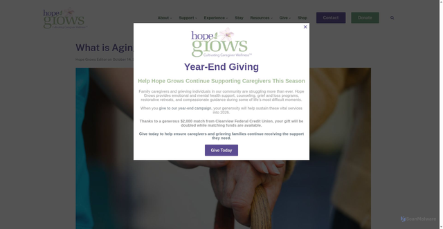 Security scan screenshot of https://hopegrows.org/what-is-aging-care/
