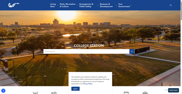 Security scan screenshot of https://www.cstx.gov/