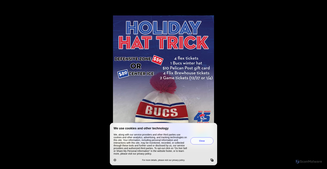 Security scan screenshot of https://bucshockey.com/