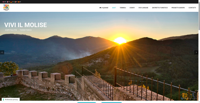 Security scan screenshot of https://termoli.net/