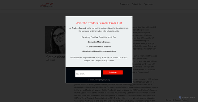 Security scan screenshot of https://tradersummit.net/speaker/cathie-wood/